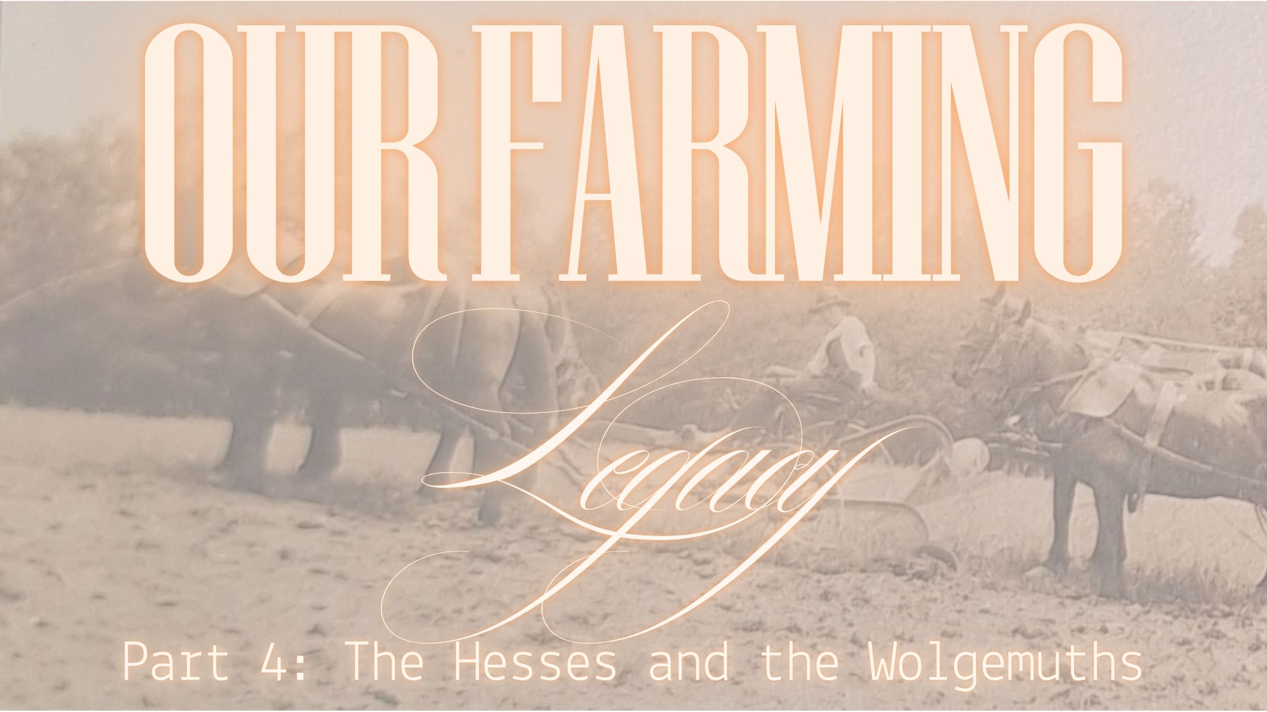 Part 4: The Hesses and the Wolgemuths