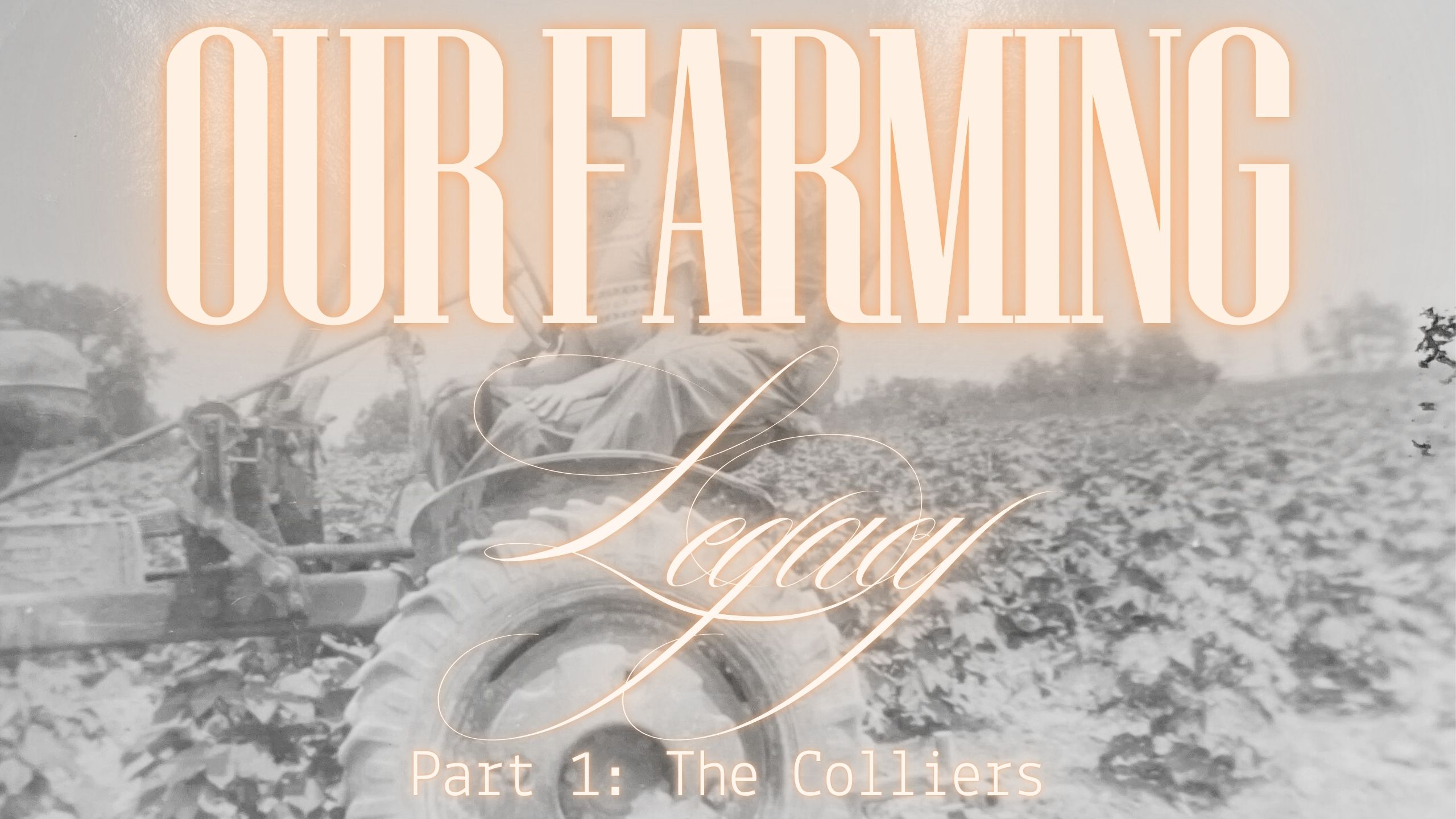 Part 1: The Colliers